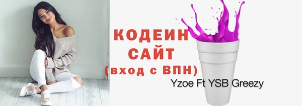 индика Абаза