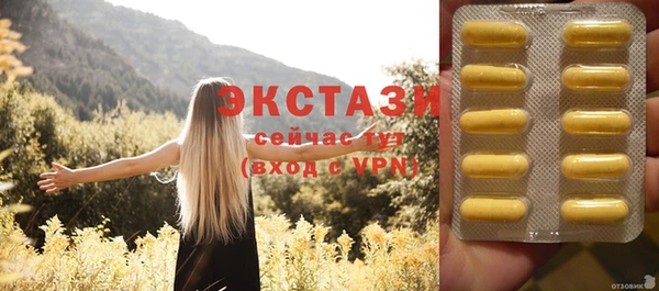 индика Абаза