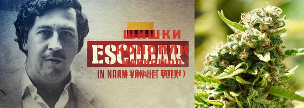 ECSTASY Абинск