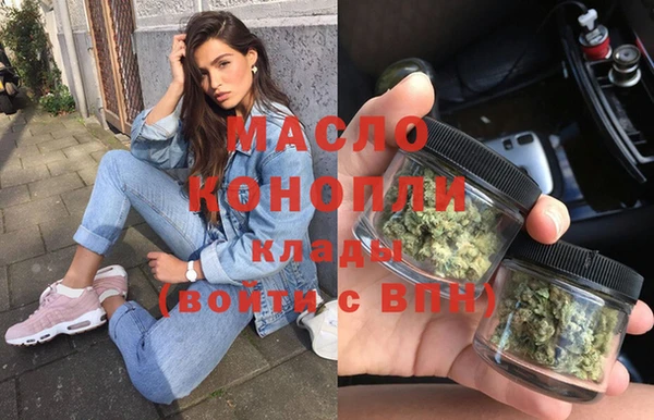 индика Абаза