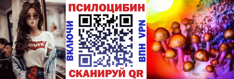 Галлюциногенные грибы Cubensis  Андреаполь 